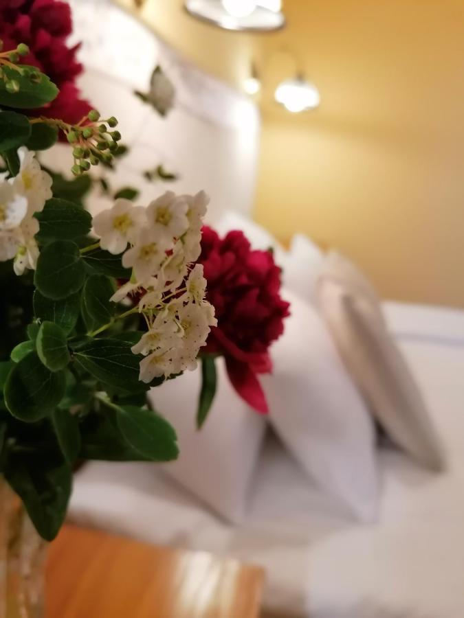 Forras Fogado Bed & Breakfast Bükkszék Bagian luar foto